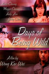 Days Of Being Wild