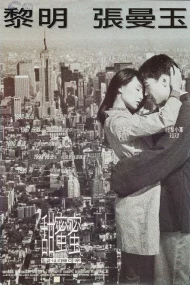 Comrades, Almost a Love Story (1996) เถียน มี มี่ 3650 วันรักเธอคนเดียว