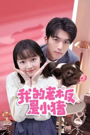 My Piggy Boss (2024) หัวหน้าฉันเป็นหมูน้อย EP.1-12 (จบ)
