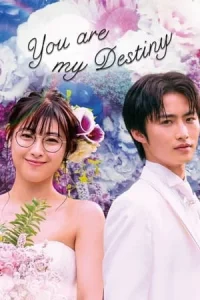 You Are My Destiny (2020) พรหมลิขิตรักไม่รู้จบ EP.1-10 (จบ)