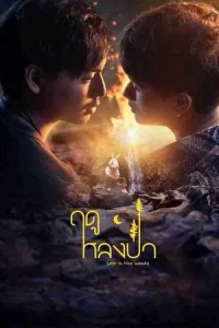 Lost in the Woods (2025) ฤดูหลงป่า EP.1-7 (จบ)