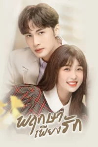 A Romance of The Little Forest (2022) พฤกษาเพียงรัก EP.1-35 (จบ)