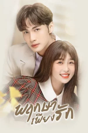 A Romance of The Little Forest (2022) พฤกษาเพียงรัก EP.1-35 (จบ)