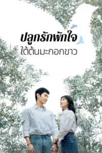 The White Olive Tree (2025) ปลูกรักพักใจ ใต้ต้นมะกอกขาว EP.1-38 (จบ)