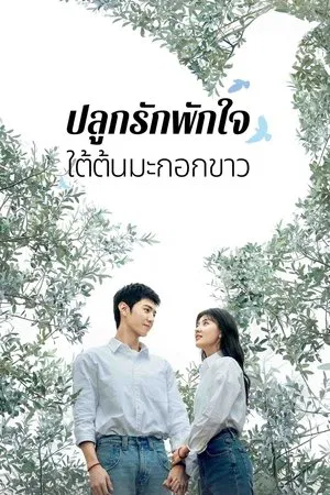 The White Olive Tree (2025) ปลูกรักพักใจ ใต้ต้นมะกอกขาว EP.1-38 (จบ)
