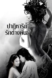 Deep In The Jungle (2008) ปาฏิหาริย์รักต่างพันธุ์