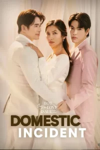 Domestic Incident (2024) เหตุร้ายในครอบครัว EP.1-4 (จบ)