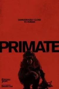 Primate (2026) ลิงคลั่งพันธุ์ดิบ