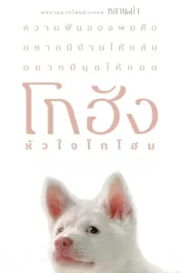 Gohan (2026) โกฮัง หัวใจโกโฮม
