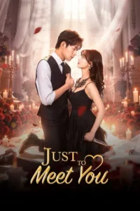 Just To Meet You (2026) บังเอิญพบก็เผลอรัก EP.1-24